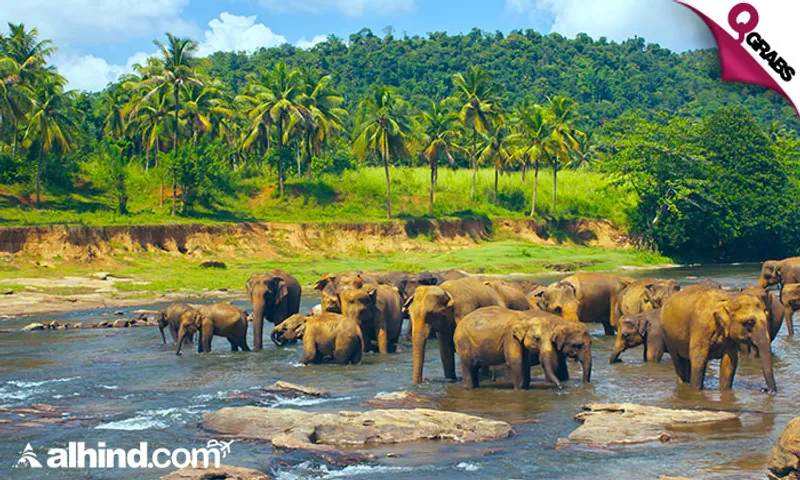 4 Days & 3 Nights Sri Lanka Tour Package!